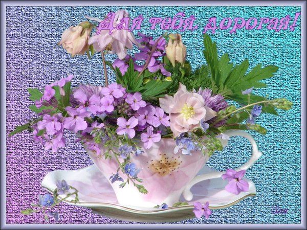 Тёплого утра и хорошего настроения