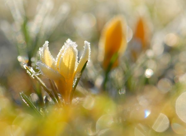 Солнечный весенний день