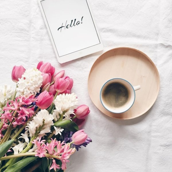 Завтрак с цветами