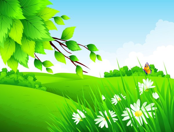 Сказочная Поляна с цветами