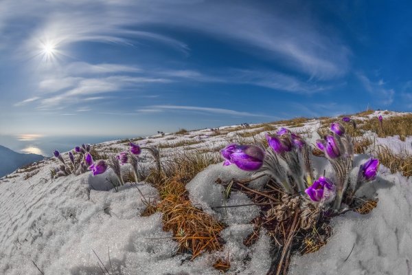 Весенний денек