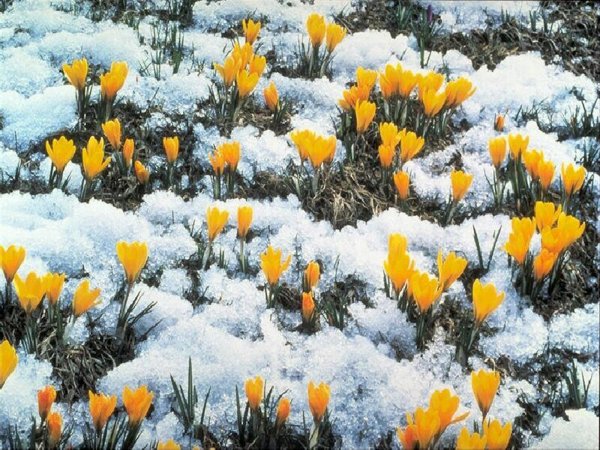 Мартовский пейзаж