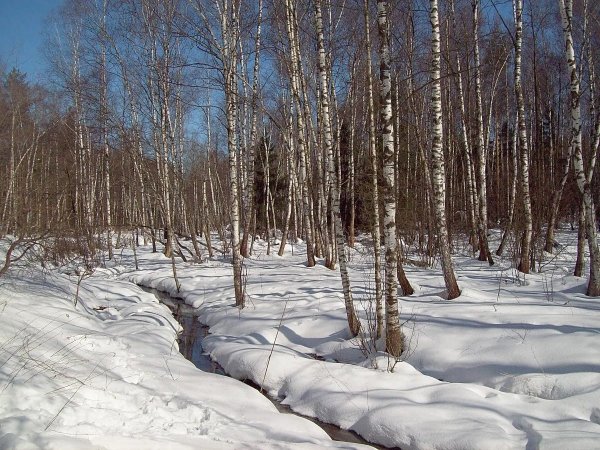 Природа весной