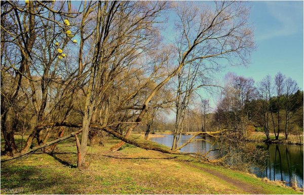 Конец апреля природа