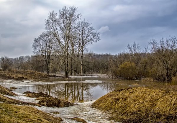 Апрельская природа