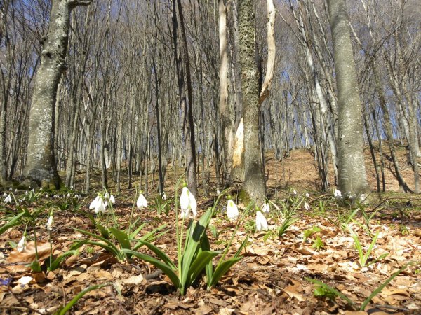 Весна апрель