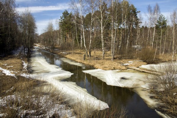 Апрель природа