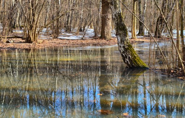 Весна апрель