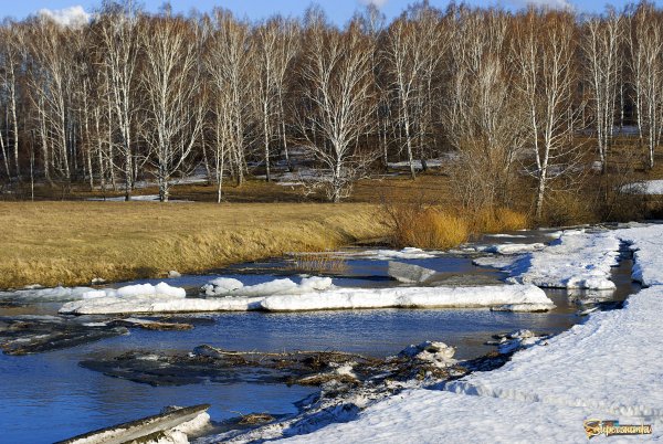 Апрельский пейзаж
