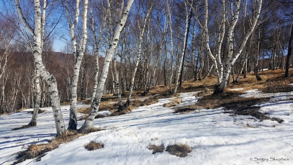 Апрель природа