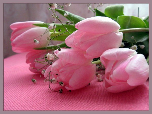 Весеннее настроение