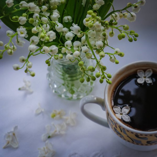 Весеннее настроение