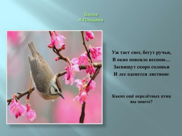 Стих Плещеева уж тает снег