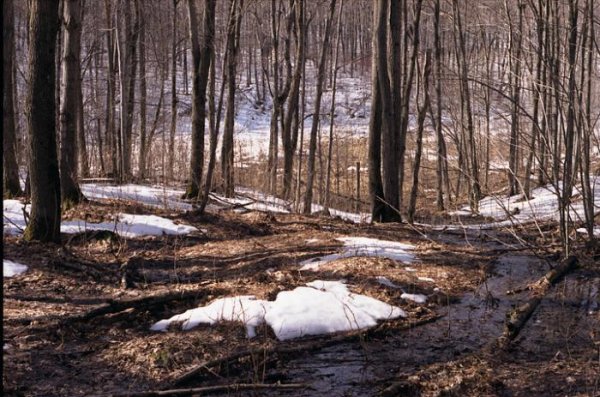 Весенние явления