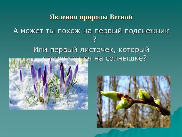 Явления природы зимой и весной