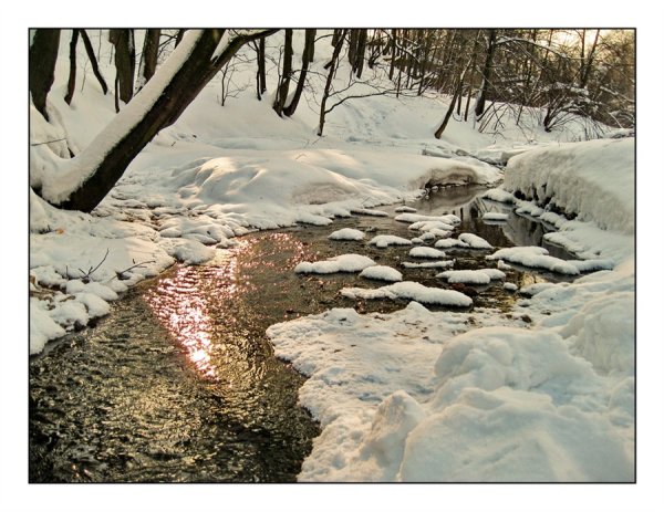 Изменения в природе весной