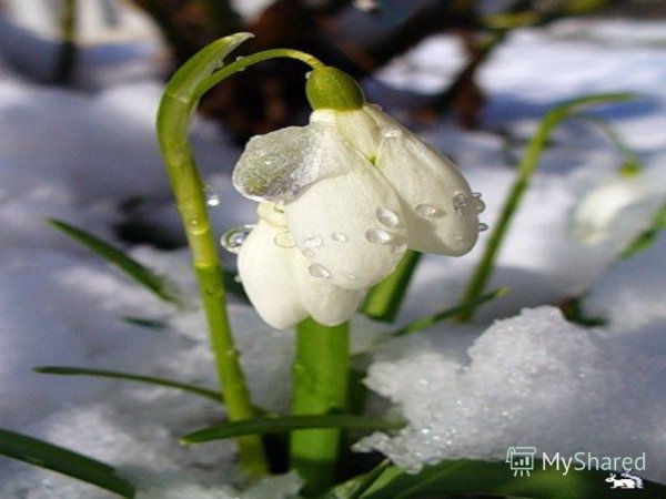 Красивая природа с радугой