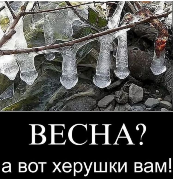 Зиму перезимовали осталось перезимовать весну