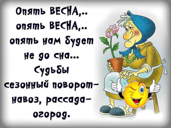 Шутки про снежную весну