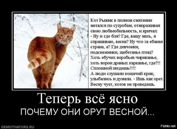 Анекдоты про весну смешные