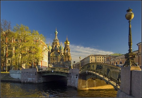 Цветущие Марсово поле Санкт-Петербург