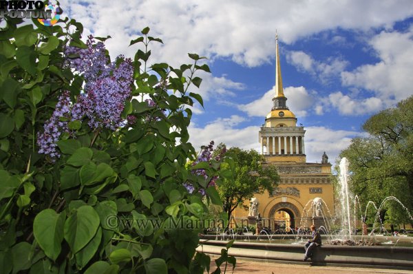 Исаакиевский собор тюльпаны