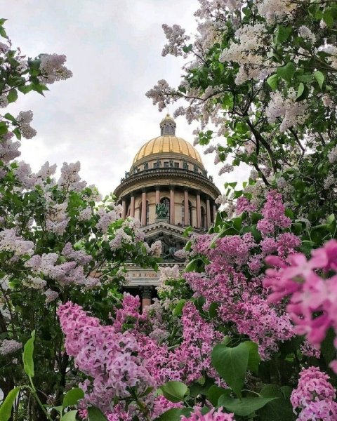Весна в Санкт-Петербурге