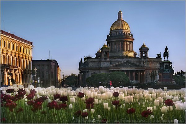 Питер Весна на Неве
