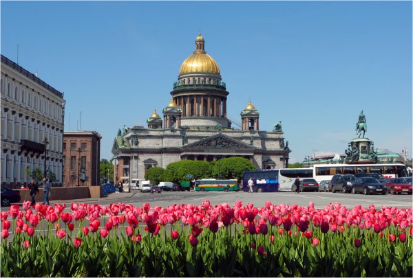 Майский Петербург