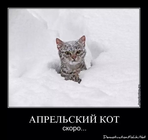 Снег в апреле надпись