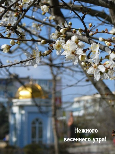 Весна нежно город