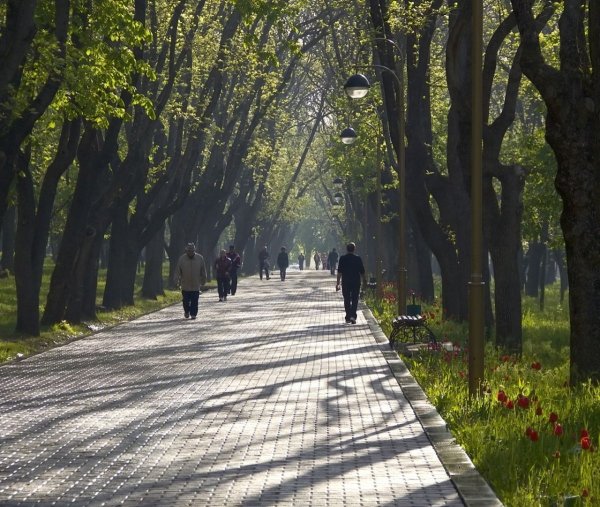 Ростов на Дону Дон природа