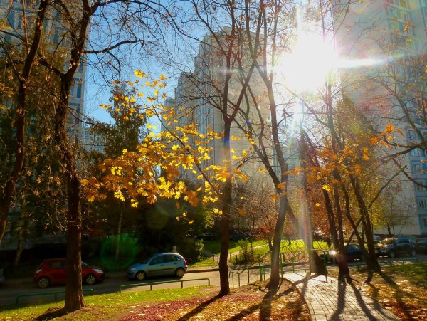 Солнечное утро в городе