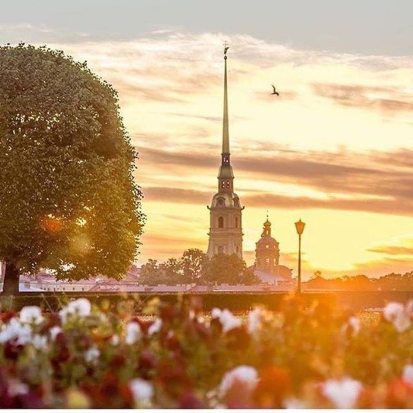 Санкт-Петербург май