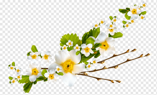 Весна на прозрачном фоне