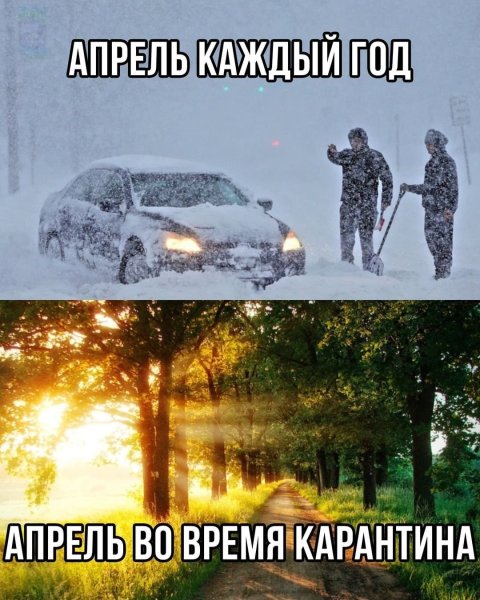 Смешные фразы про погоду