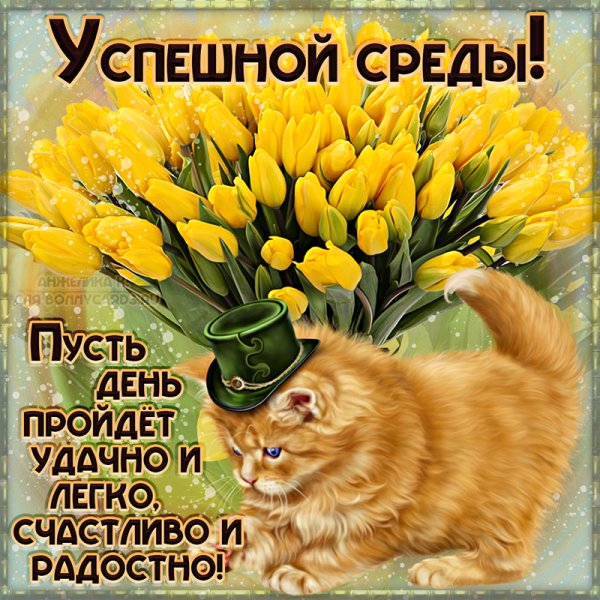 Открытки со средой