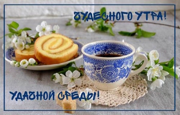 Весна тюльпаны