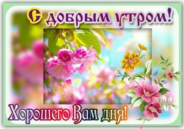 Доброго весеннего дня
