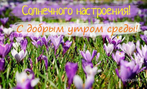 Весеннее настроение