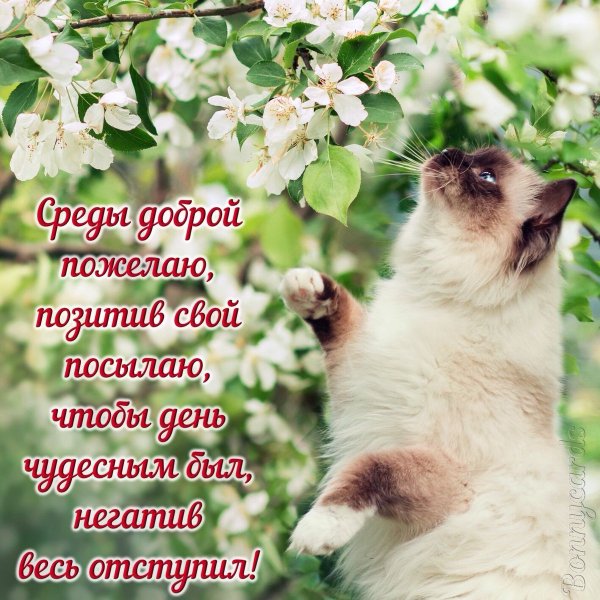 Открытки с добрым утром весенние с детьми