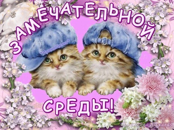 Доброе Весеннее утро