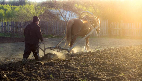 Весенние сельскохозяйственные работы