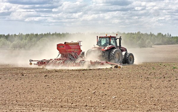 Посевная кампания