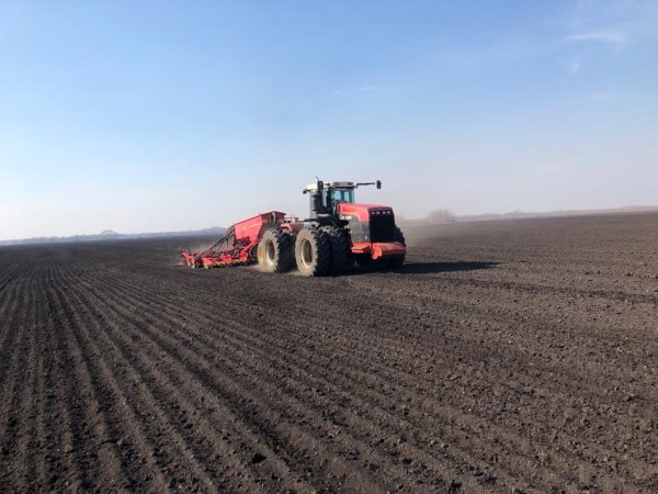 Посевная 2020