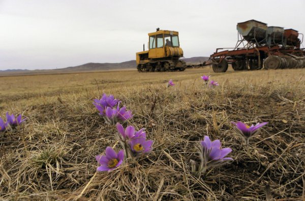 Трактор весной