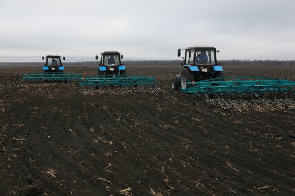 Посевная кампания 2021 в Мордовии