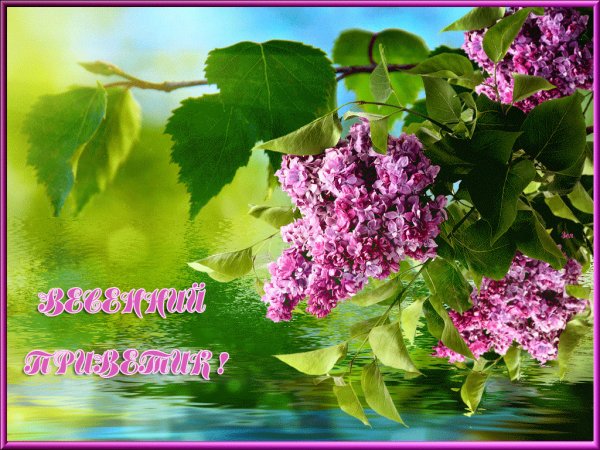 Анимированная сирень