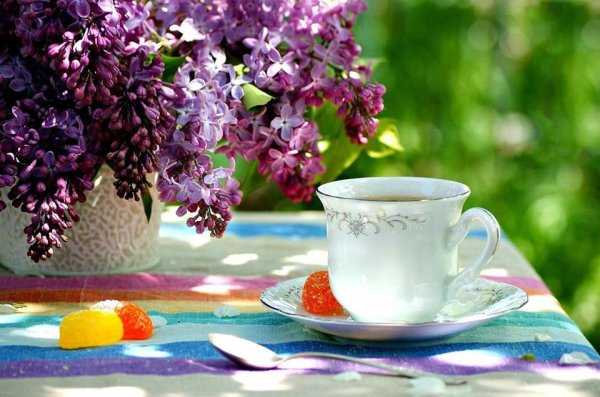 Чаепитие в саду с сиренью