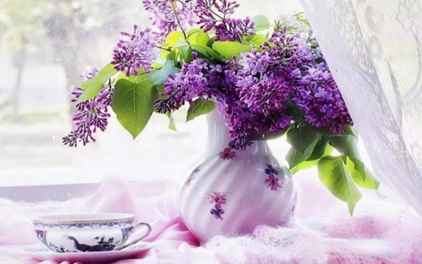 Букет сирени гиф